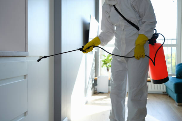 Trusted Plymouth, OH Mold Removal Experts