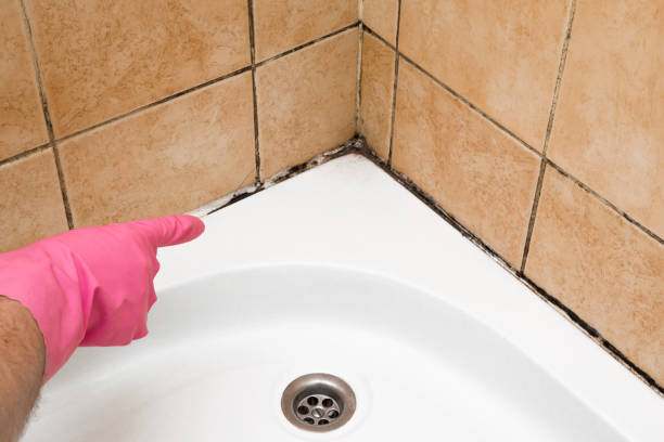 Best Residential Mold Removal  in Plymouth, OH